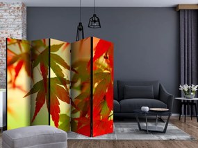 Διαχωριστικό με 5 τμήματα - Colourful leaves II [Room Dividers]