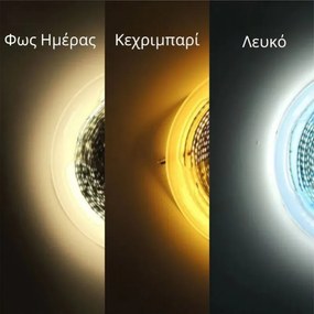 Stewehome Οβάλ Καθρέπτης LED Τοίχου με Κομψή Χάραξη λευκό 56x131 cm