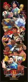 Αφίσα πόρτας Street Fighter, (53 x 158 cm)