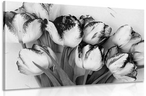 Εικόνα με ανοιξιάτικες τουλίπες σε ασπρόμαυρο - 120x80