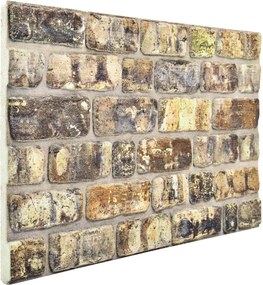 vidaXL Πάνελ τοίχου 10 pcs Πολύχρωμο 100 x 50 cm Αφρός EPS