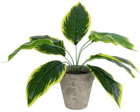 Τεχνητό Φυτό Σε Κασπώ Hosta 20899 Φ45x40cm Multi GloboStar Τσιμέντο,Ύφασμα