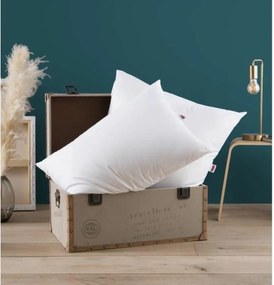 μαξιλάρι DODO Λευκό 60 x 60 cm