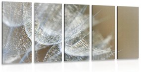 Φόντο μακροεντολής πικραλίδας εικόνας 5 μερών - 100x50