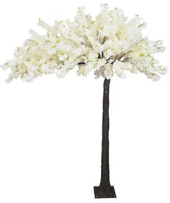 MarHome ΔΕΝΤΡΟ ΛΕΥΚΟ ΑΝΘΙΣΜΕΝH ΚΕΡΑΣΙΑ ΠΛΑΓΙΟ Υ260cm 1/ΚΙΒ  04-22021