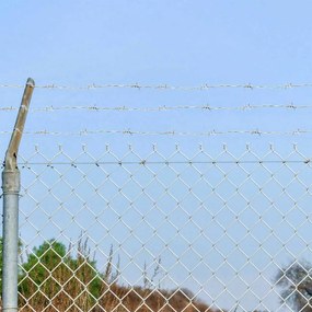 vidaXL Αγκαθωτό Σύρμα Ασημί 100 m