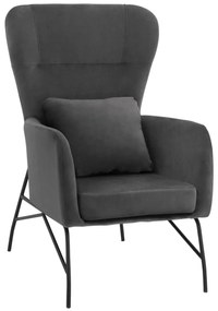 Armchair Velvet Grey with metallic black leg  67x80x102 cm.