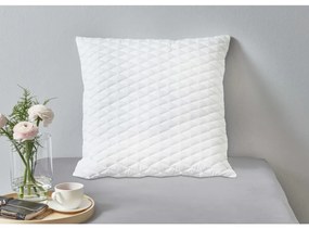 vidaXL Μαξιλάρια Αφρού Μνήμης 2 τεμ. 80 x 80 x 14 εκ.