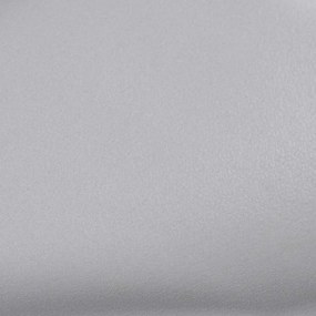 vidaXL Μεμβράνες Αυτοκινήτου 2 τεμ. Ασημί Ματ 100 x 150 εκ.