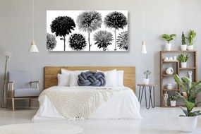 Εικόνα λουλουδιών ντάλιας σε διάφορα σχέδια σε ασπρόμαυρο - 120x60