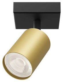 Φωτιστικό Σποτ Braytron BH04-00816 Χρυσό Ματ (Gold Mat- Satin)