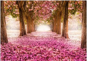 Αυτοκόλλητη φωτοταπετσαρία - Pink grove - 343x245