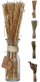 Φυτό Σε Γυάλινο Δοχείο ArteLibre Σε 4 Ποικιλίες-06350599