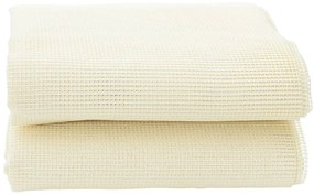 vidaXL Χαλί Σκηνής Κρεμ 2,5x2 μ.