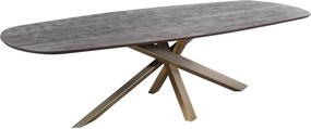 Τραπέζι Alore PTMD - 280cm - Brown, Gold