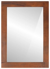 vidaXL Καθρέφτης με καθρέφτη Καφέ, ασημένιο 50 x 2.5 x 70 εκ