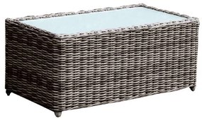 Τραπέζι Σαλονιού 100x50x45cm ARIZONA ALU/Wicker Grey Brown