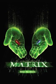 Εκτύπωση τέχνης Matrix - Choose your path, (26.7 x 40 cm)