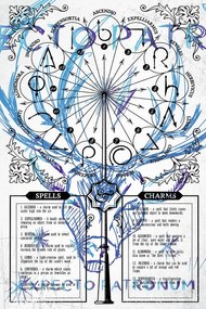 Εικονογράφηση Harry Potter - Expectopatronum