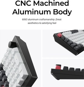 KEYBOARD WRL Q5 HE RGB/SHELL WHITE Q5H-P1 KEYCHRON