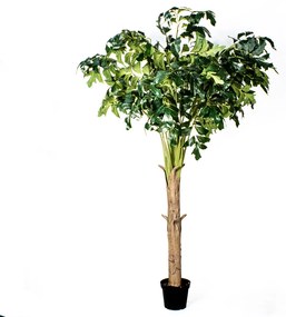 Supergreens Τεχνητό Δέντρο Φίκος Abstract 250 εκ. - Πολυαιθυλένιο - 9980-6