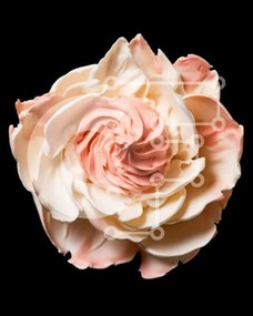 Intra Συλλεκτικό Ξύλινο Παζλ Plywood 4mm - Ροζ και άσπρο λουλούδι σε μαύρο φόντο Σε Ξύλινο Κουτί - Διαστάσεις Puzzle: 10x10 cm – 25 κομμάτια