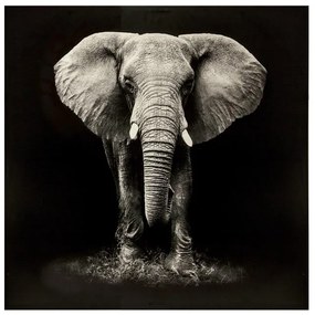 Πίνακας σε καμβά Elephie mdf 100x3x100εκ 100x3x100 εκ.