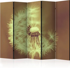 Διαχωριστικό με 5 τμήματα - dandelion (sepia) III [Room Dividers]