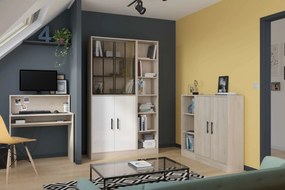 Βιβλιοθήκη Mayer-Fusiko