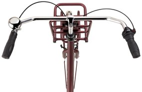 Daily Dutch Basic+ 28 Inch 53 cm Women 3SP Coaster Brake Red Brown