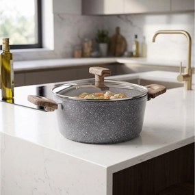 ΚΑΤΣΑΡΌΛΕΣ POT+LID FORGED ALU NATURE FIVE 24CM 111008A