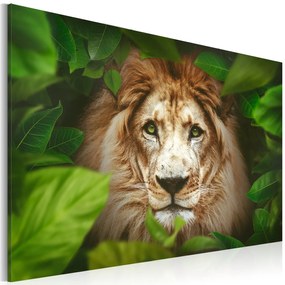 Πίνακας - Eyes of the jungle 120x80