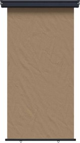 vidaXL Αυλούπα Πλευράς Μπαλκονιού 117 x 250 cm