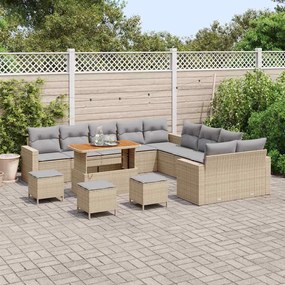 vidaXL Σετ Καναπέ Κήπου 14 pcs Μπεζ συνθετικό ρατάν