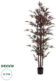 20039 GloboStar®  Artificial Garden BLOODLEAF BAMBOO 20039 Τεχνητό Διακοσμητικό Φυτό Αιματόφυλλο Μπαμπού Υ170cm