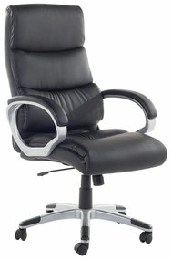 Καρέκλα γραφείου Berwyn 1002, Μαύρο, 107x68x68cm, 19 kg, Με μπράτσα, Με ρόδες, Μηχανισμός καρέκλας: Κλίση | Epipla1.gr
