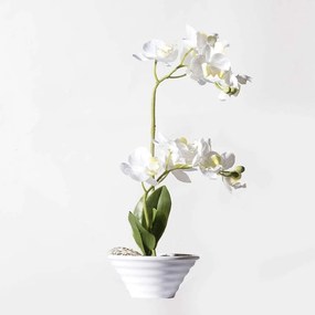 Τεχνητό Φυτό Ορχιδέα Με Κασπώ 5070-6 21x21x35cm White Supergreens Πολυαιθυλένιο