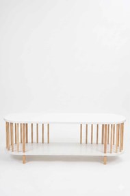 Έπιπλο Τηλεόρασης Λευκό LOGADRU 120x30x43