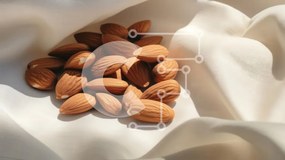 Σετ των 2 Intra Συλλεκτικό Ξύλινο Παζλ Plywood 4mm - Αμύγδαλα σε λευκό ύφασμα Σε Ξύλινο Κουτί - Διαστάσεις: 10x10 cm – 25 κομμάτια