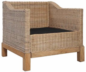 vidaXL Σετ Σαλονιού 2 Τεμαχίων από Γνήσιο Ρατάν με Μαξιλάρια