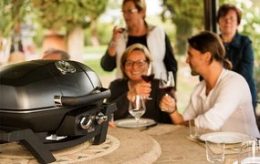 Φορητή Ψησταριά Υγραερίου Napoleon TravelQ PRO285