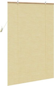 vidaXL Ρόλερ με κουρτίνες Φύση 100 x 160 cm Μπαμπού