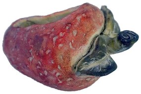 Κασπώ Φράουλα JOE209 24x18x15cm Red-Green Espiel Cement