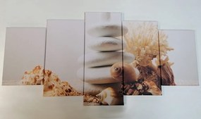 Εικόνα 5 μερών Πέτρες Ζεν με κοχύλια - 100x50