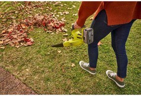 Φυσητήρας Ryobi   18 V Φύλλα