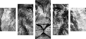 Εικόνα 5 μερών λιονταριού σε ασπρόμαυρο