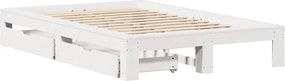 vidaXL Σκελετός Κρεβ. Χωρίς Στρώμα Λευκό 120x200 εκ Μασίφ Πεύκο