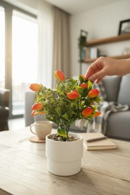 Stewehome Τεχνητό δέντρο κουμκουάτ σε μοντέρνο λευκό πλαστικό γλαστράκι Πράσινο