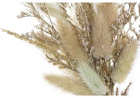 Διακοσμητικό Λουλούδι DKD Home Decor