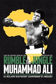 Αφίσα Muhammad Ali - Rumble in the Jungle, (61 x 91.5 cm)